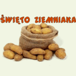 ziemniak ruszow 2015i